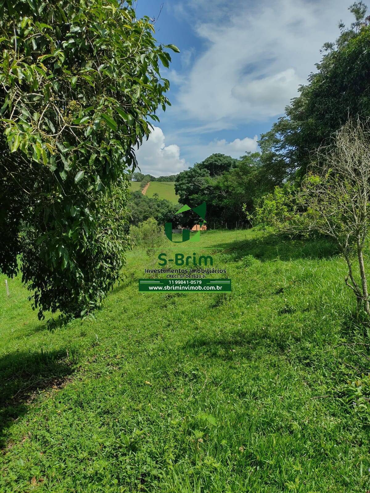 Terreno à venda, 9170m² - Foto 3