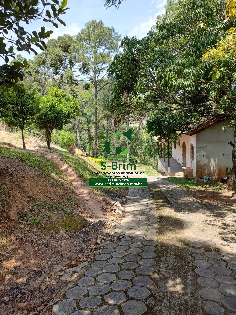 Fazenda à venda com 3 quartos, 500m² - Foto 33