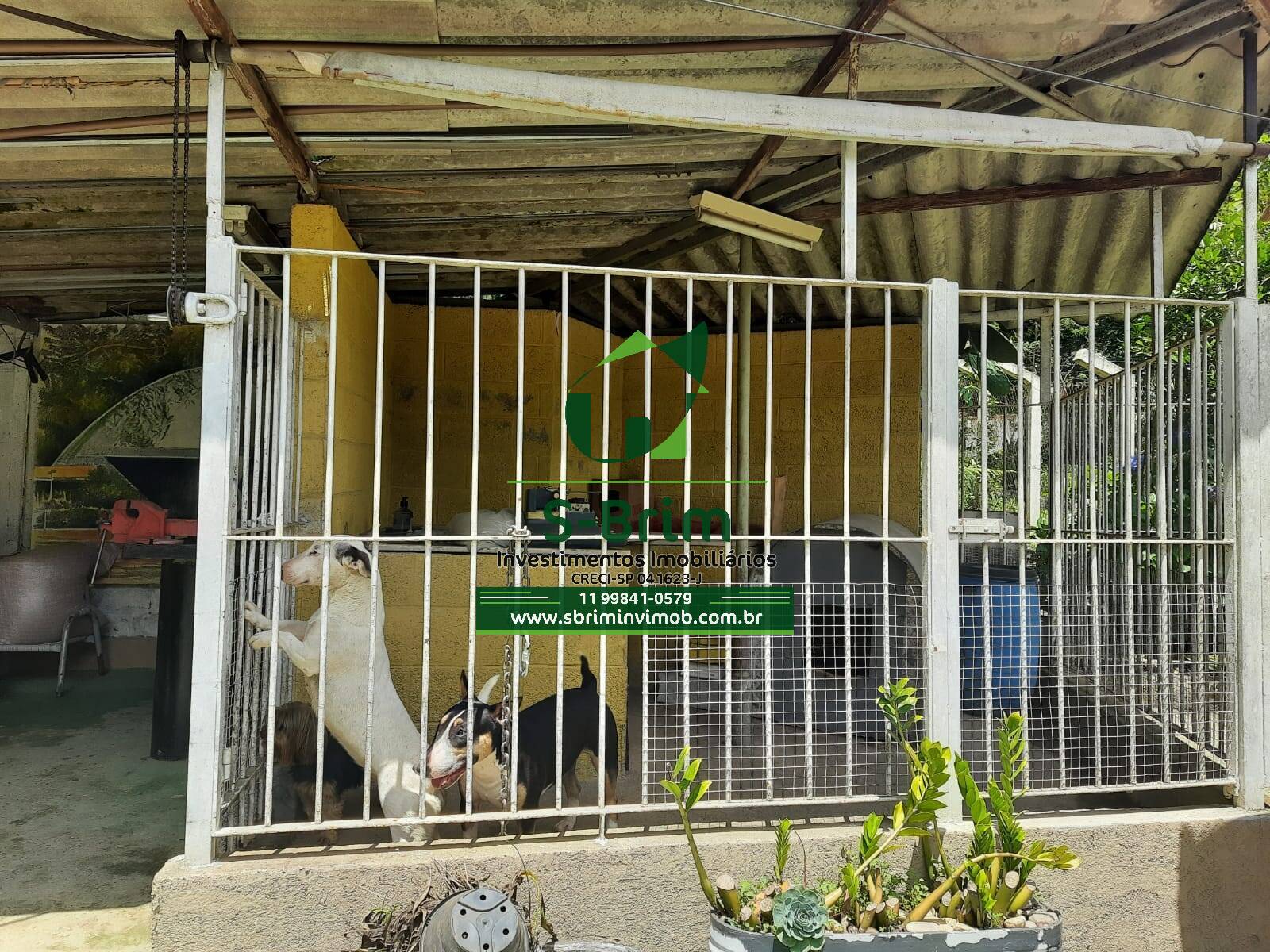 Fazenda à venda com 3 quartos, 141m² - Foto 6