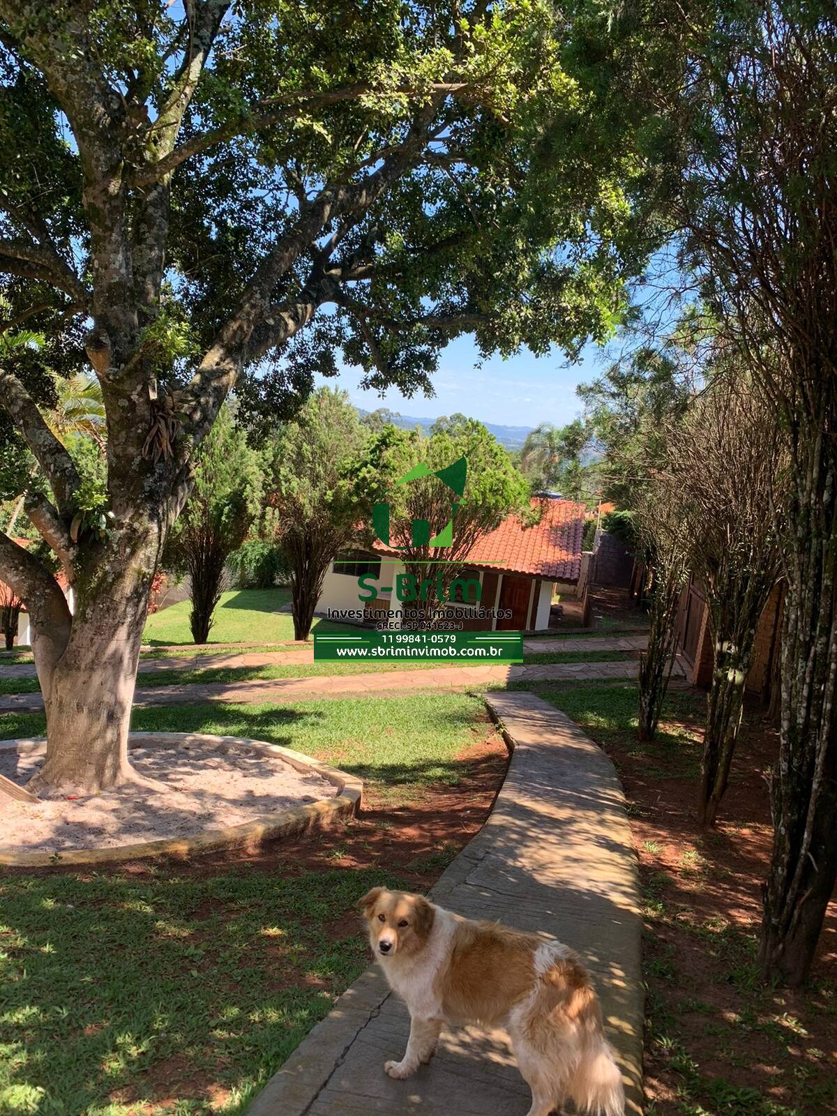 Fazenda à venda com 7 quartos, 500m² - Foto 24