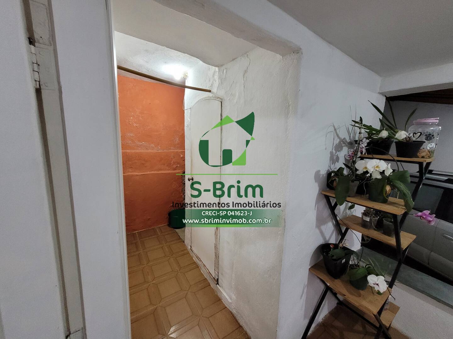 Fazenda à venda com 4 quartos, 175m² - Foto 60