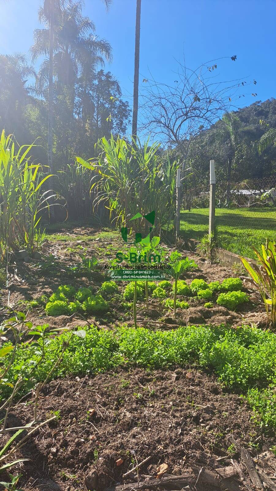 Fazenda à venda com 3 quartos, 2520m² - Foto 31