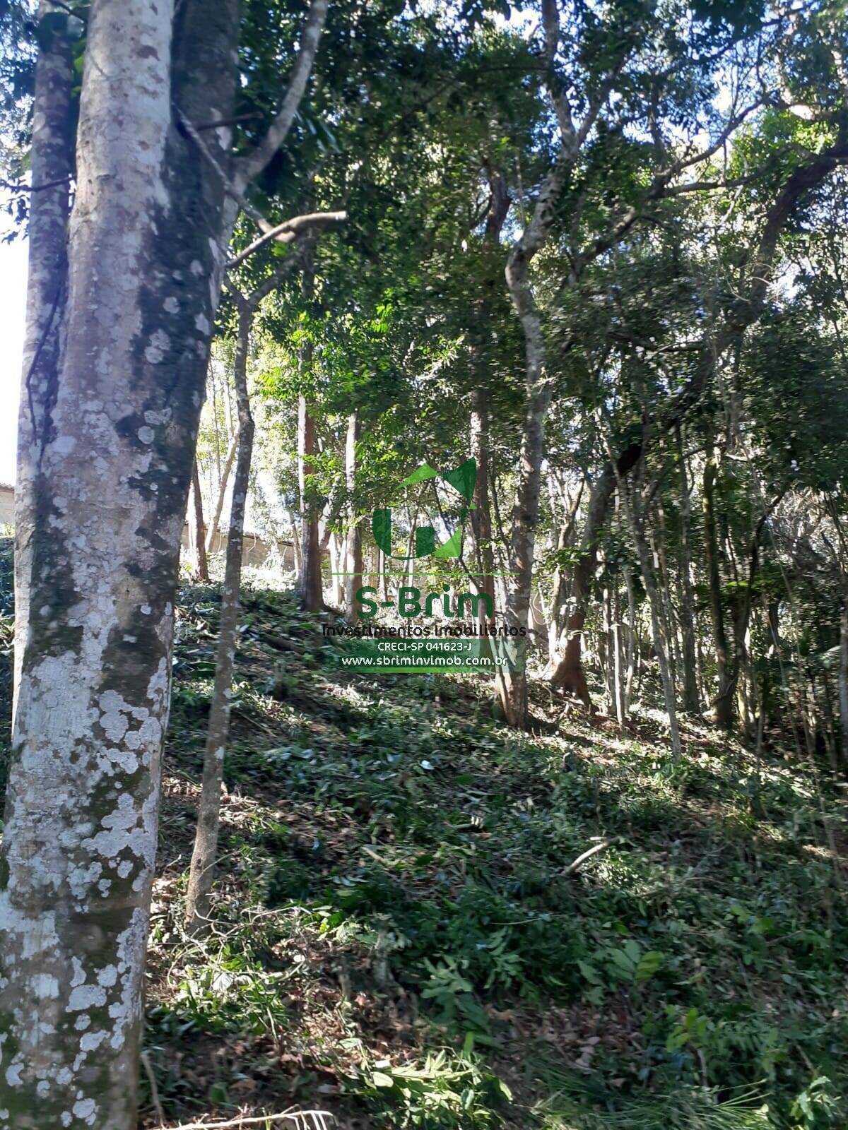 Terreno à venda, 1000m² - Foto 10