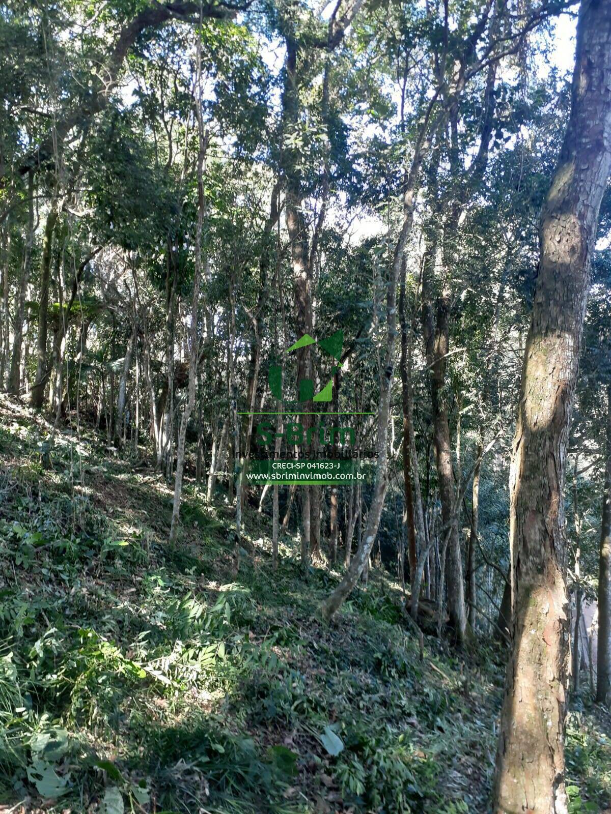 Terreno à venda, 1000m² - Foto 9