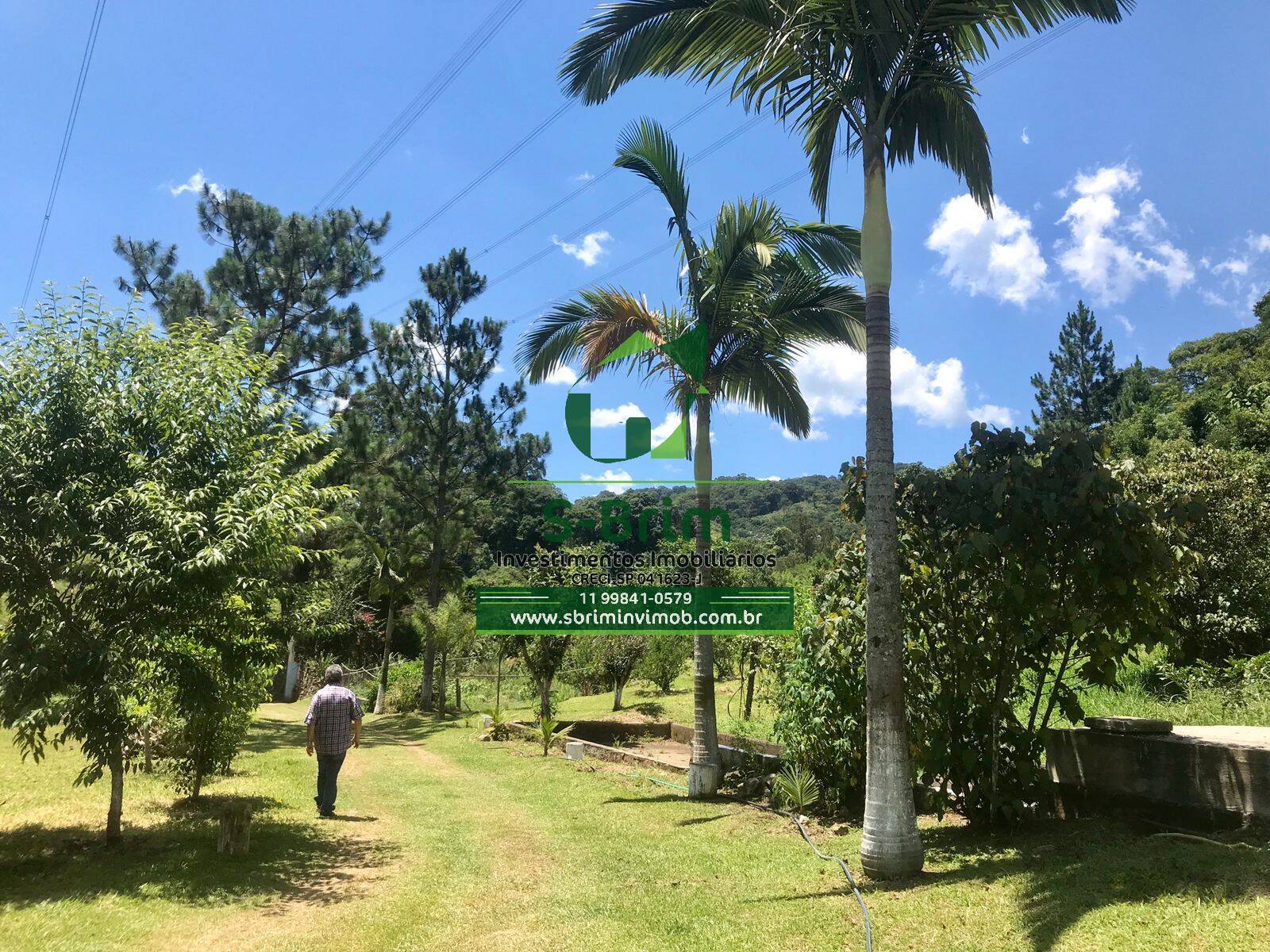 Fazenda à venda com 6 quartos, 1200m² - Foto 5