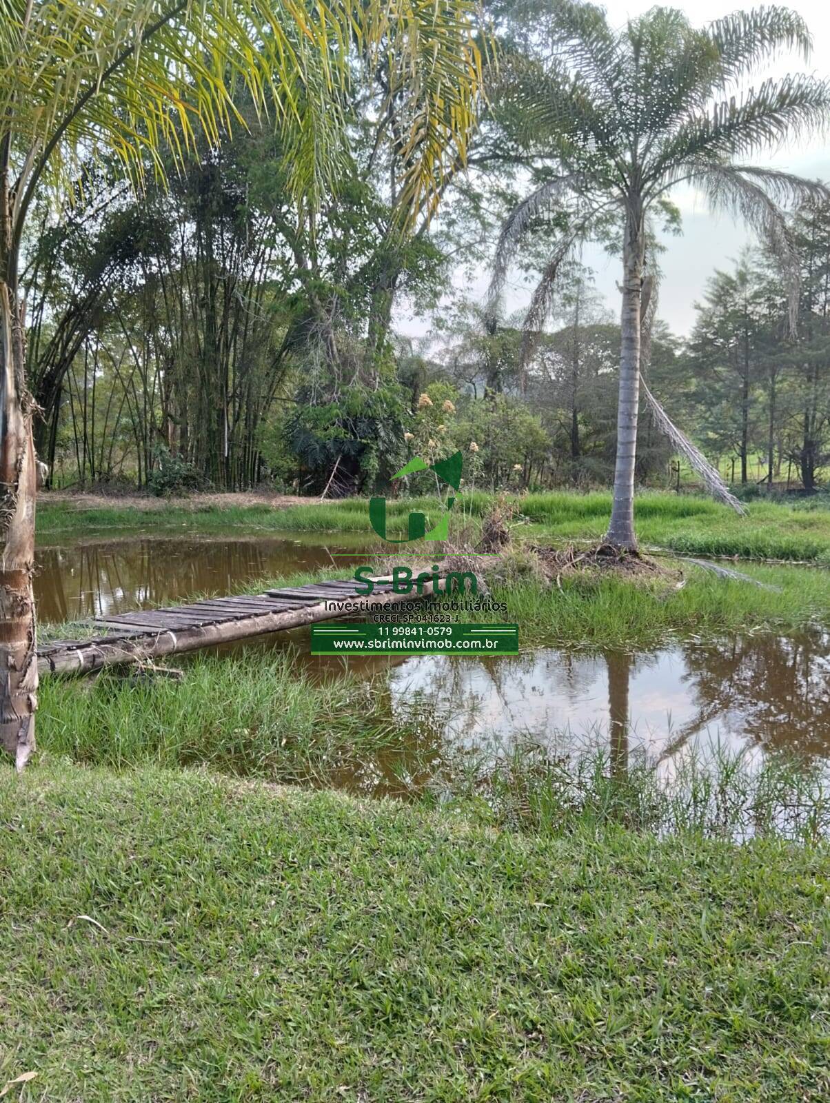 Casa à venda com 5 quartos - Foto 6