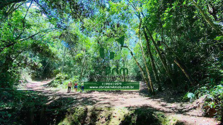 Fazenda à venda com 4 quartos, 1500m² - Foto 17