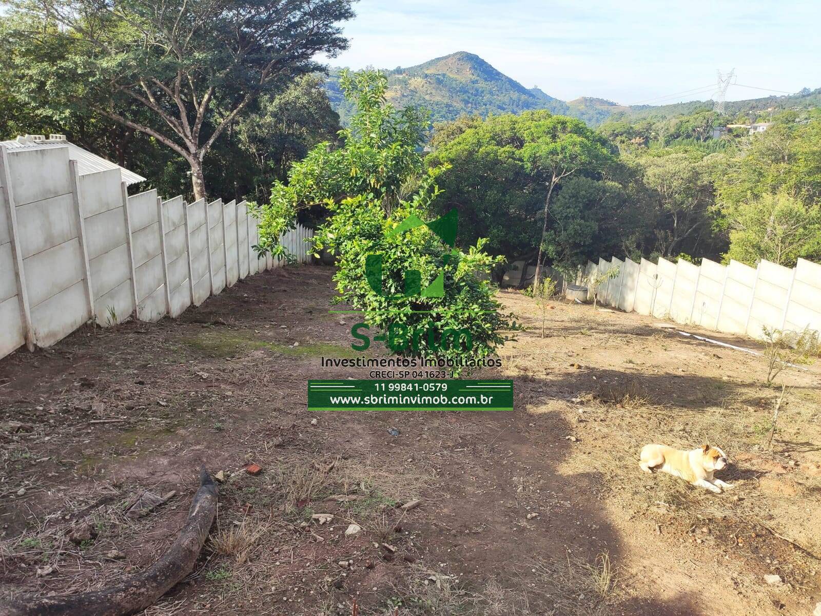 Fazenda à venda com 4 quartos, 200m² - Foto 15