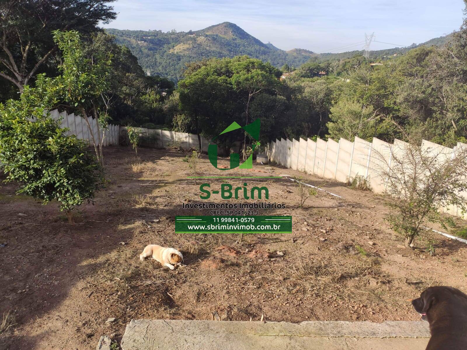 Fazenda à venda com 4 quartos, 200m² - Foto 17