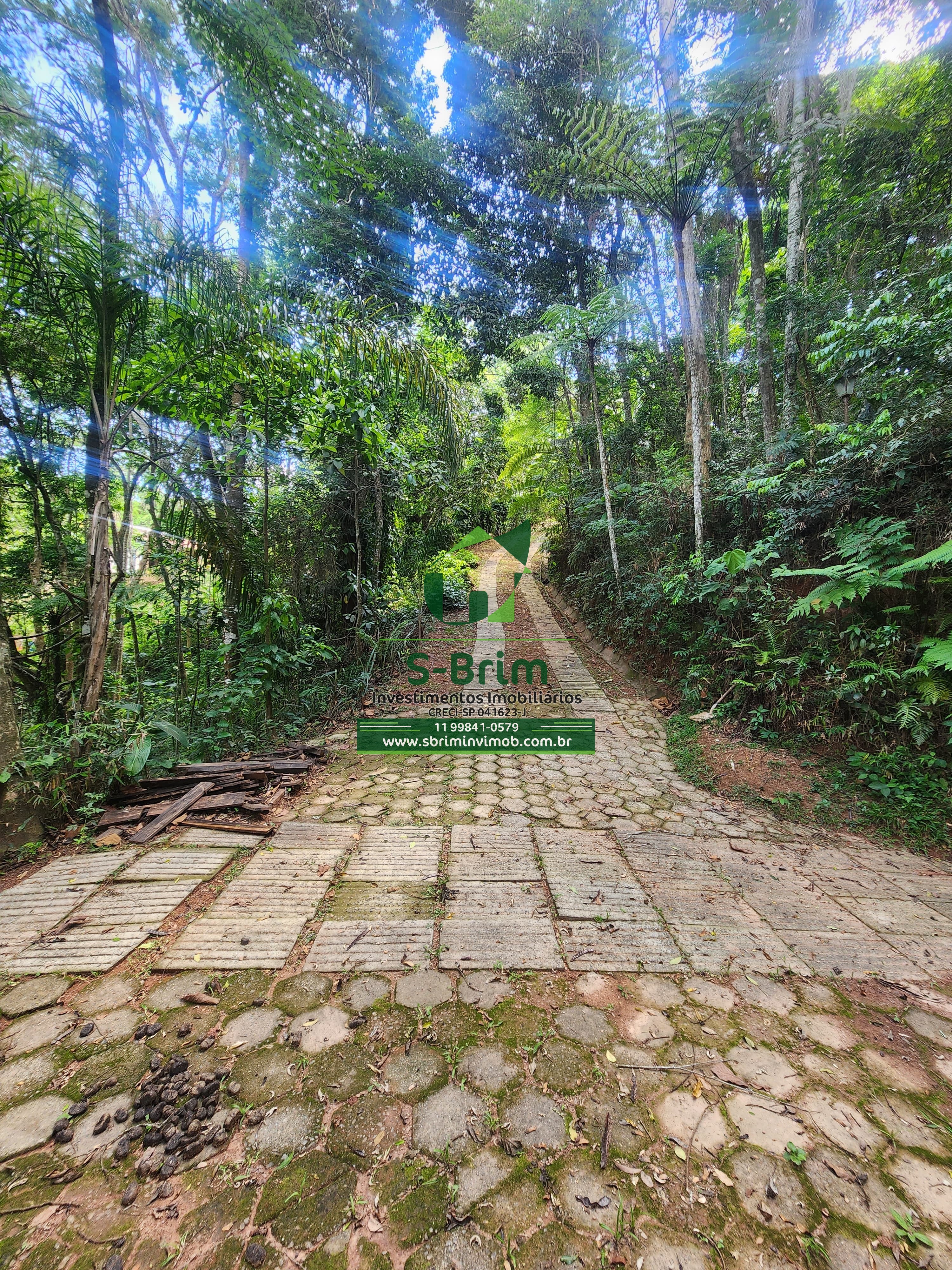 Fazenda à venda com 3 quartos, 4967m² - Foto 20