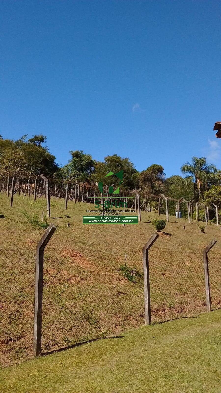 Fazenda à venda com 3 quartos, 46000m² - Foto 15