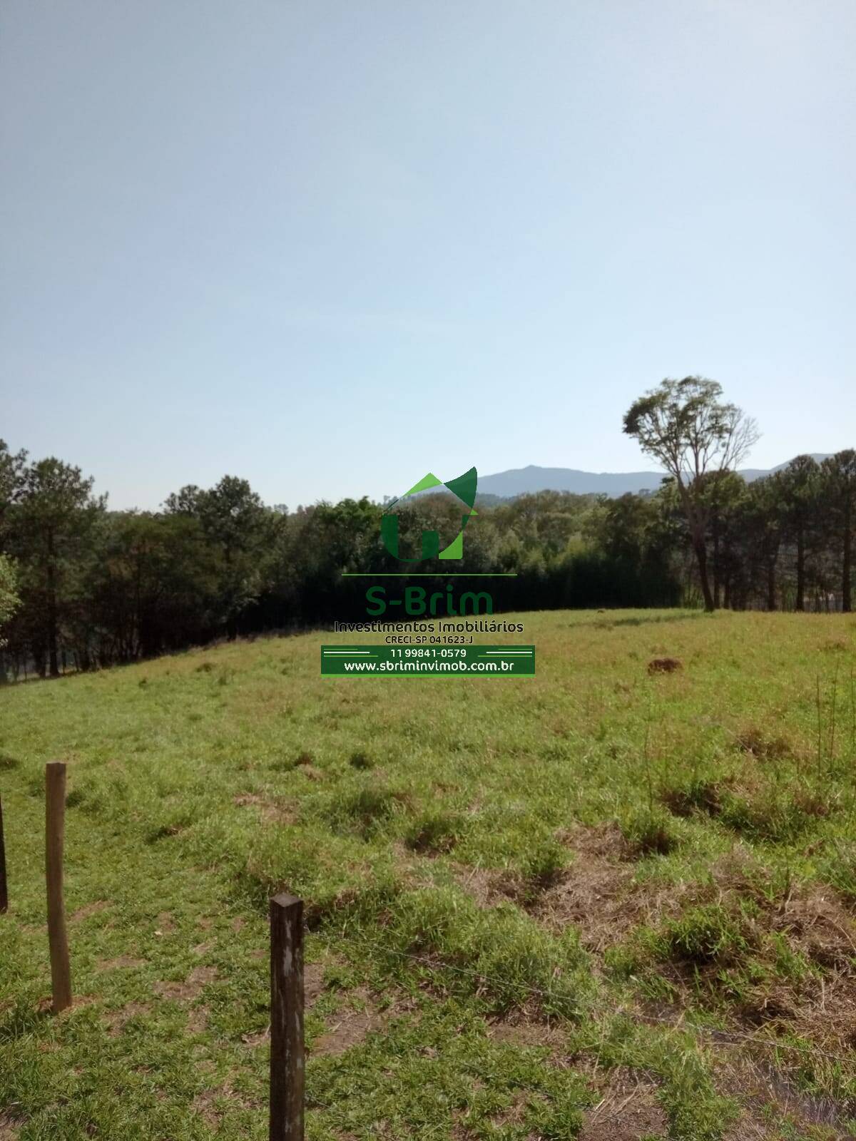 Fazenda à venda com 3 quartos, 46000m² - Foto 16