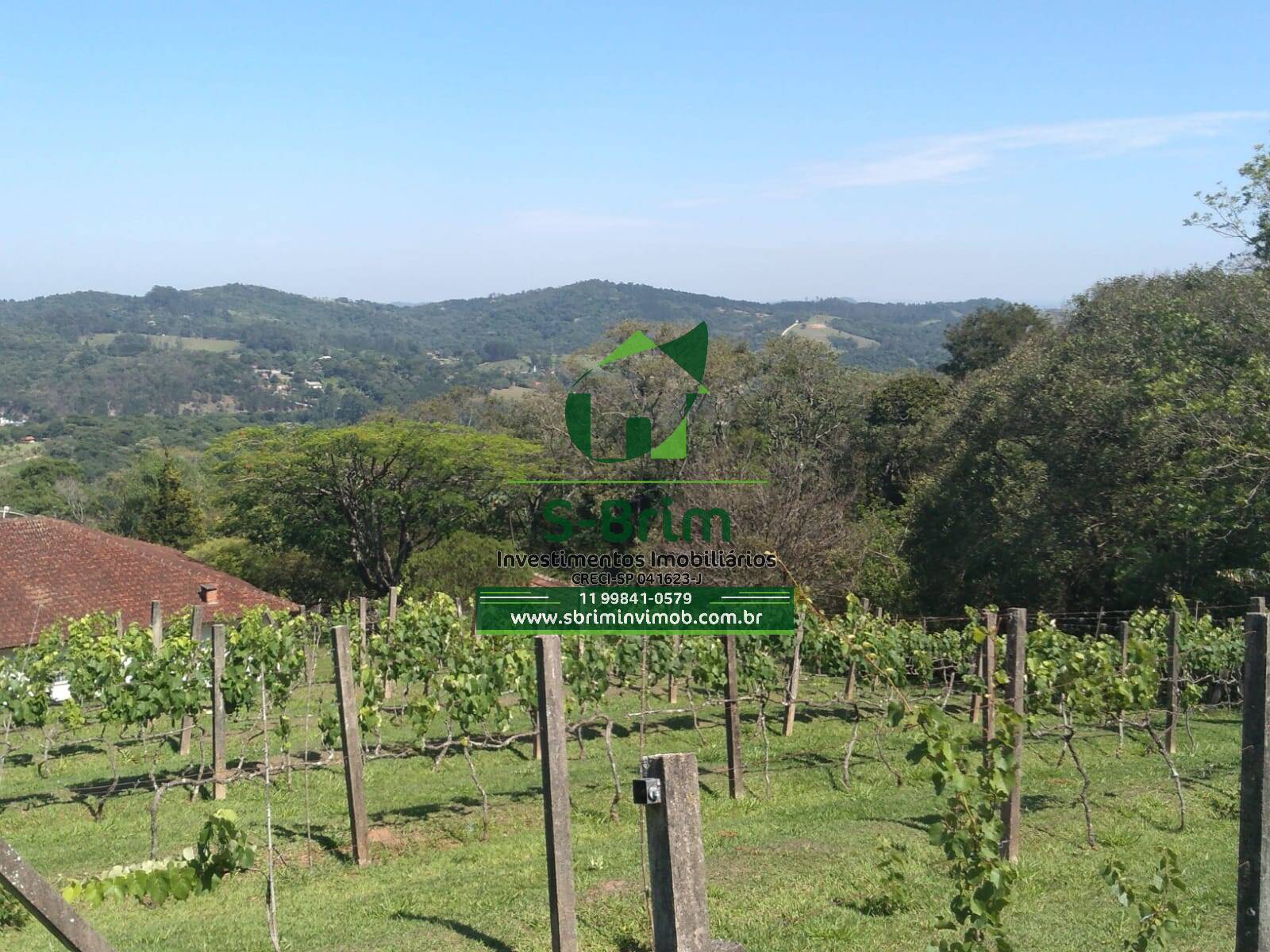 Fazenda à venda com 3 quartos, 46000m² - Foto 19