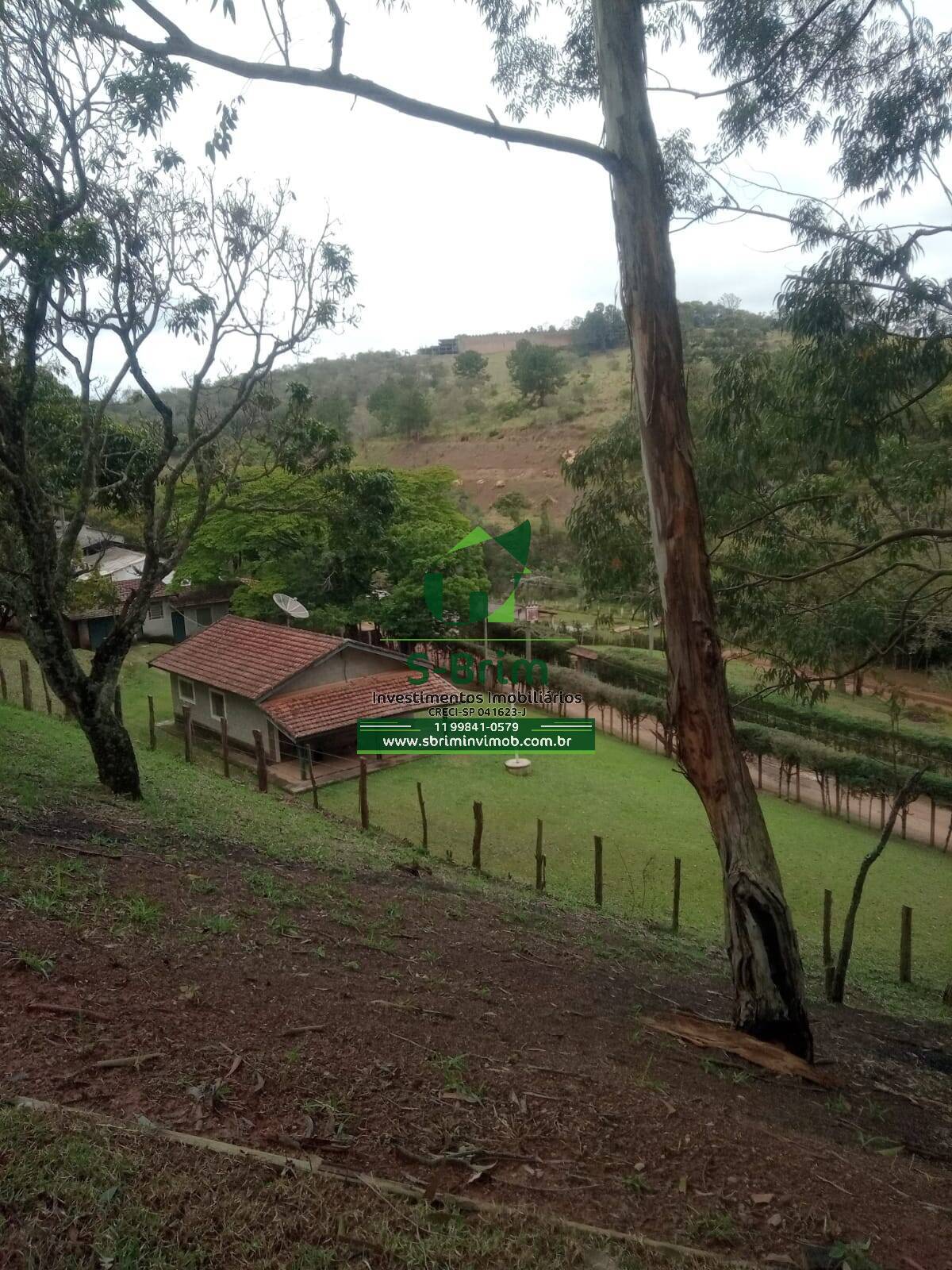 Fazenda à venda com 3 quartos, 46000m² - Foto 10