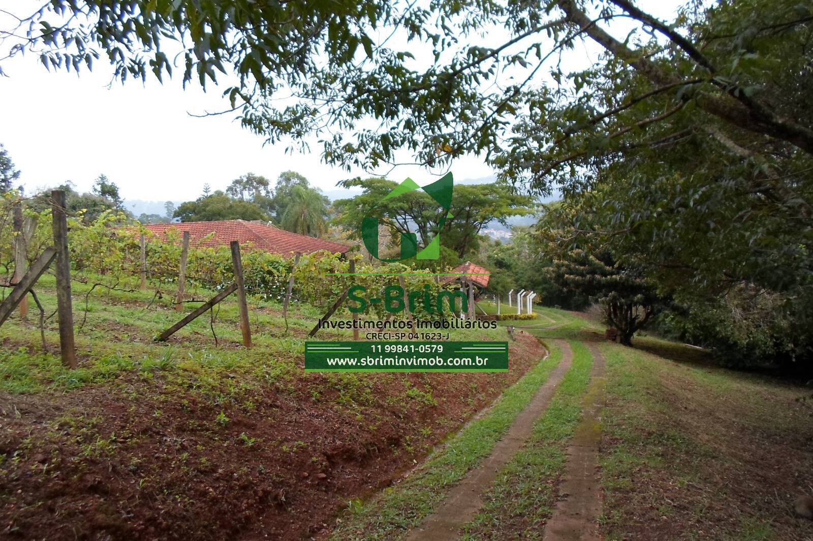 Fazenda à venda com 3 quartos, 46000m² - Foto 14