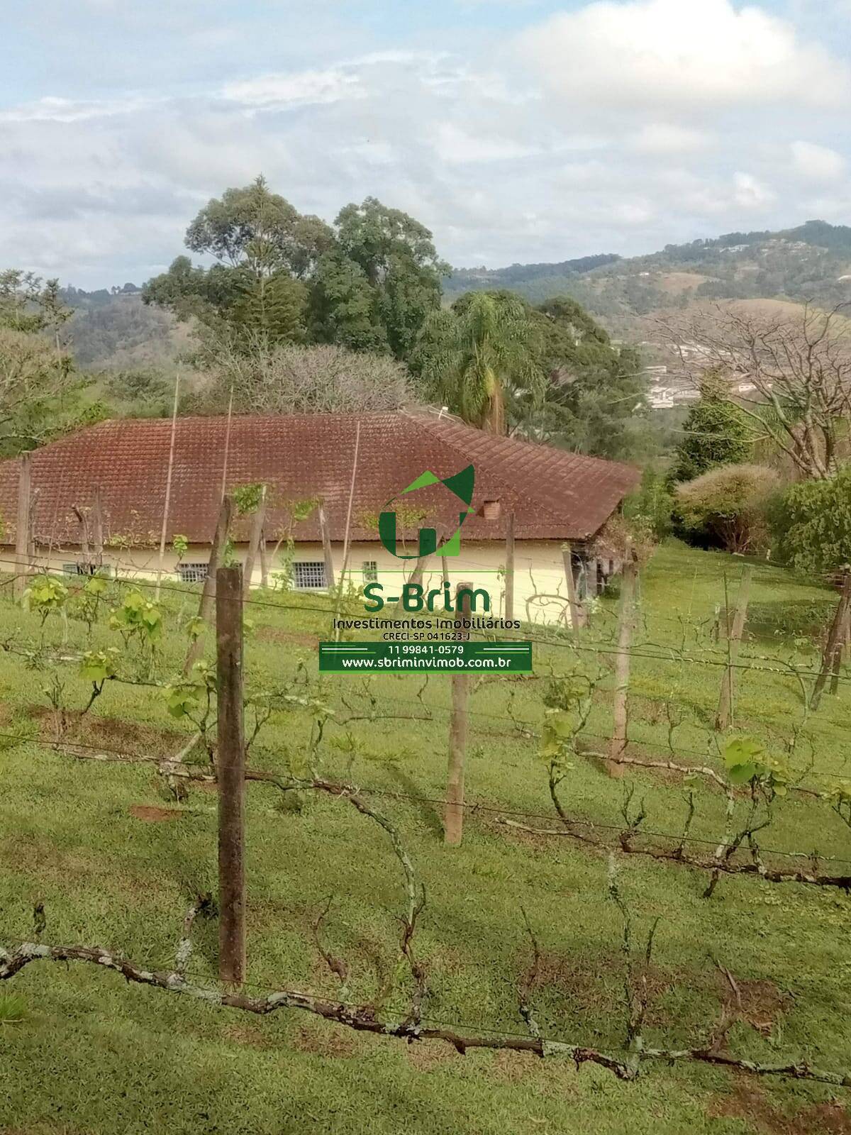 Fazenda à venda com 3 quartos, 46000m² - Foto 2