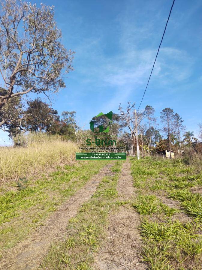 Fazenda à venda com 4 quartos, 350m² - Foto 19