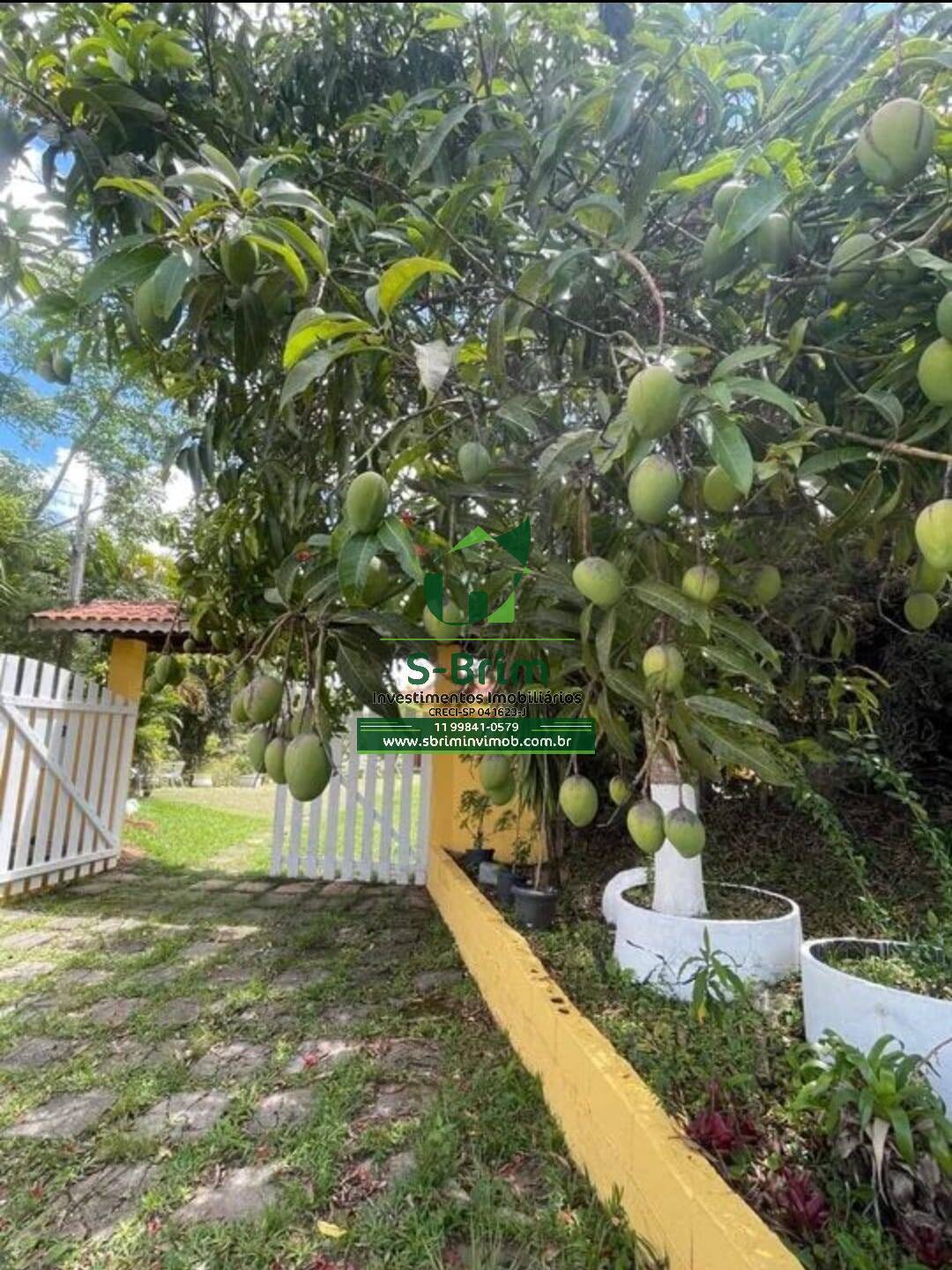 Fazenda à venda com 3 quartos, 345m² - Foto 9