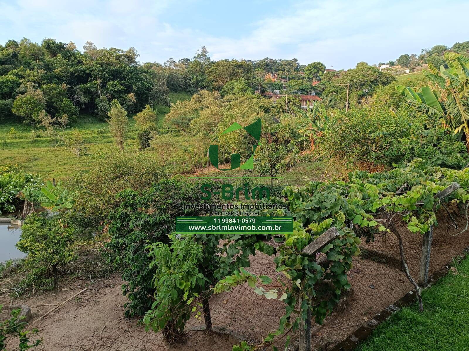 Fazenda à venda com 2 quartos, 1900m² - Foto 14