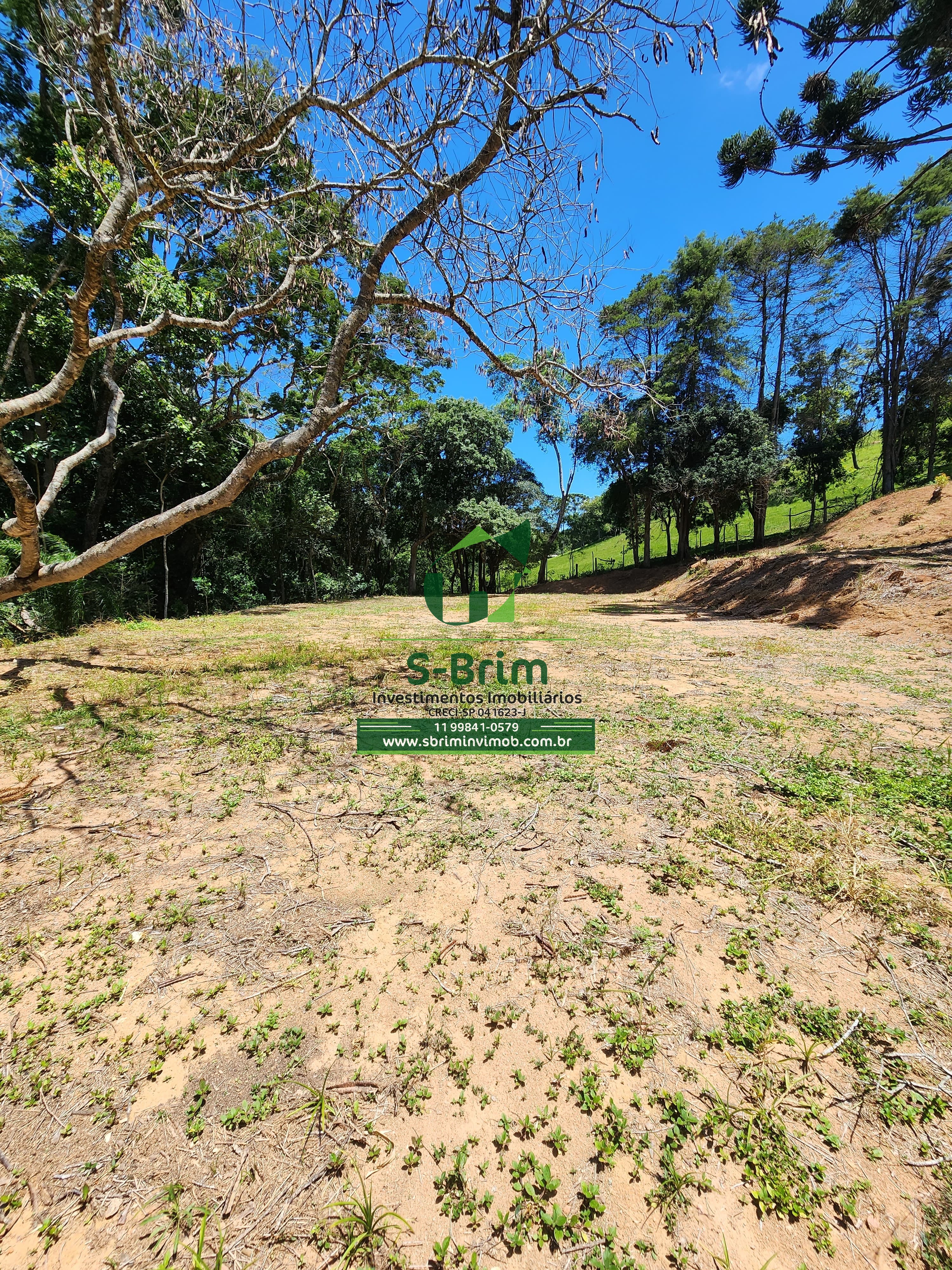 Fazenda à venda com 3 quartos, 36000m² - Foto 18