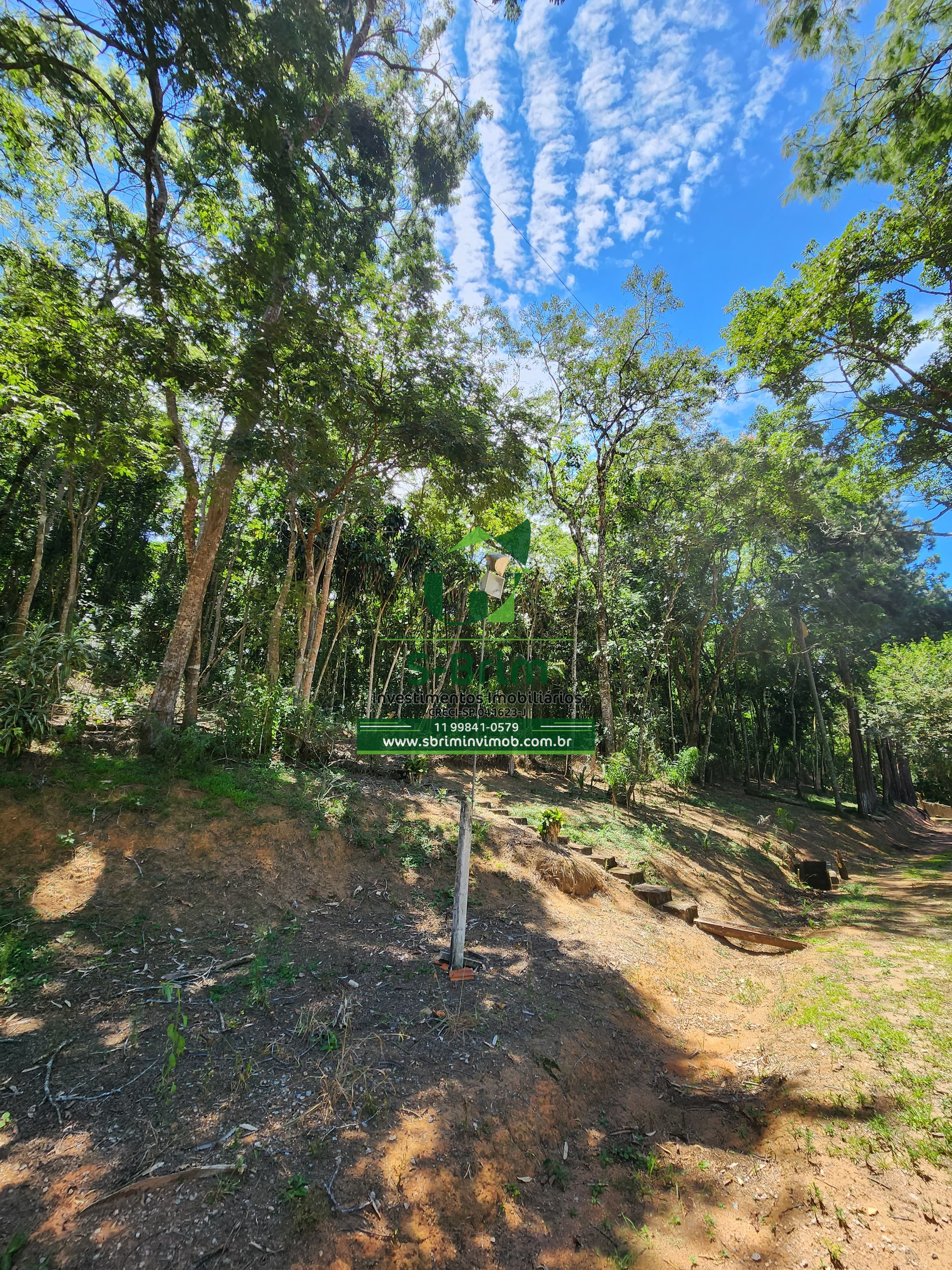 Fazenda à venda com 3 quartos, 36000m² - Foto 19