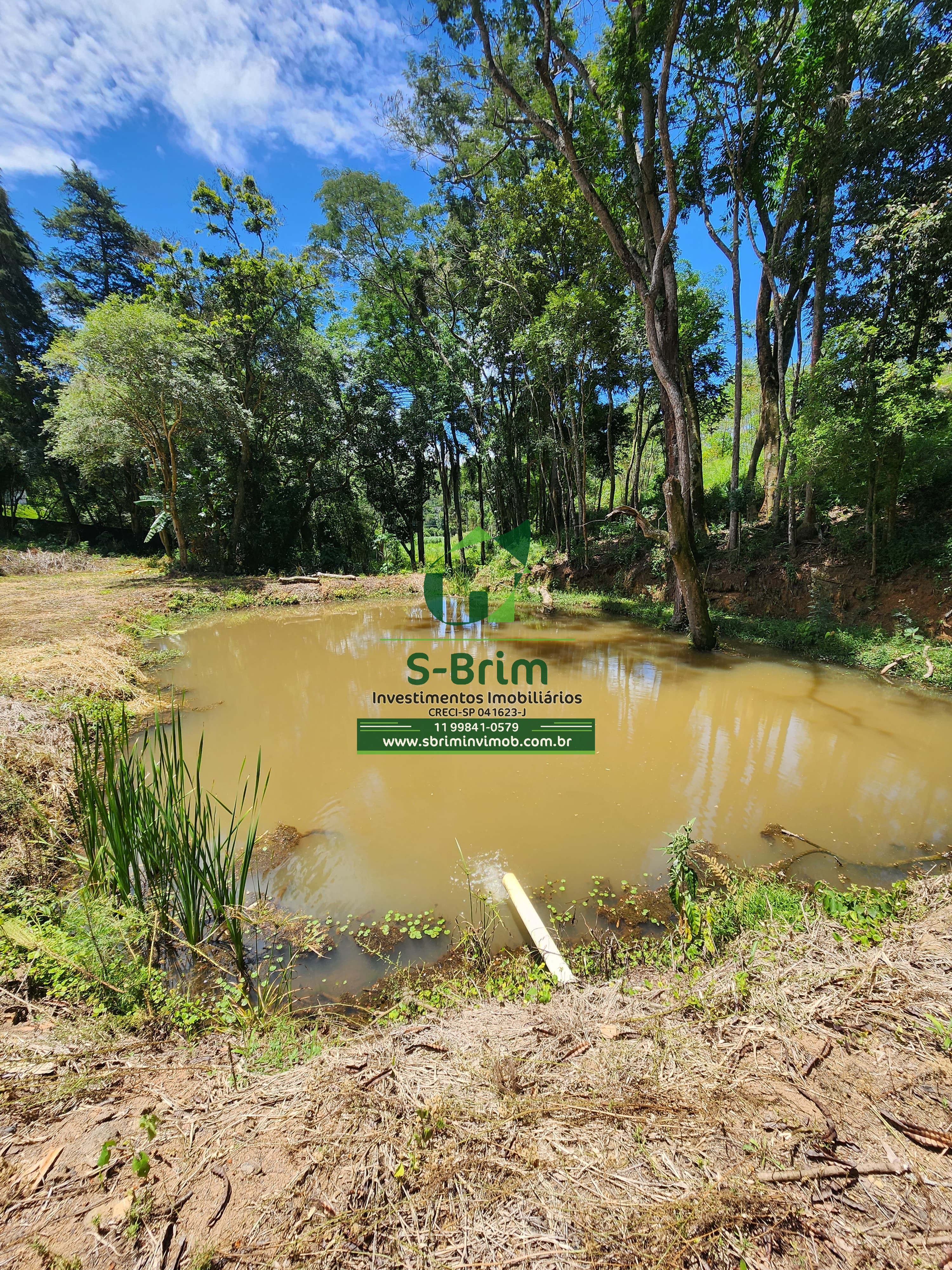 Fazenda à venda com 3 quartos, 36000m² - Foto 16