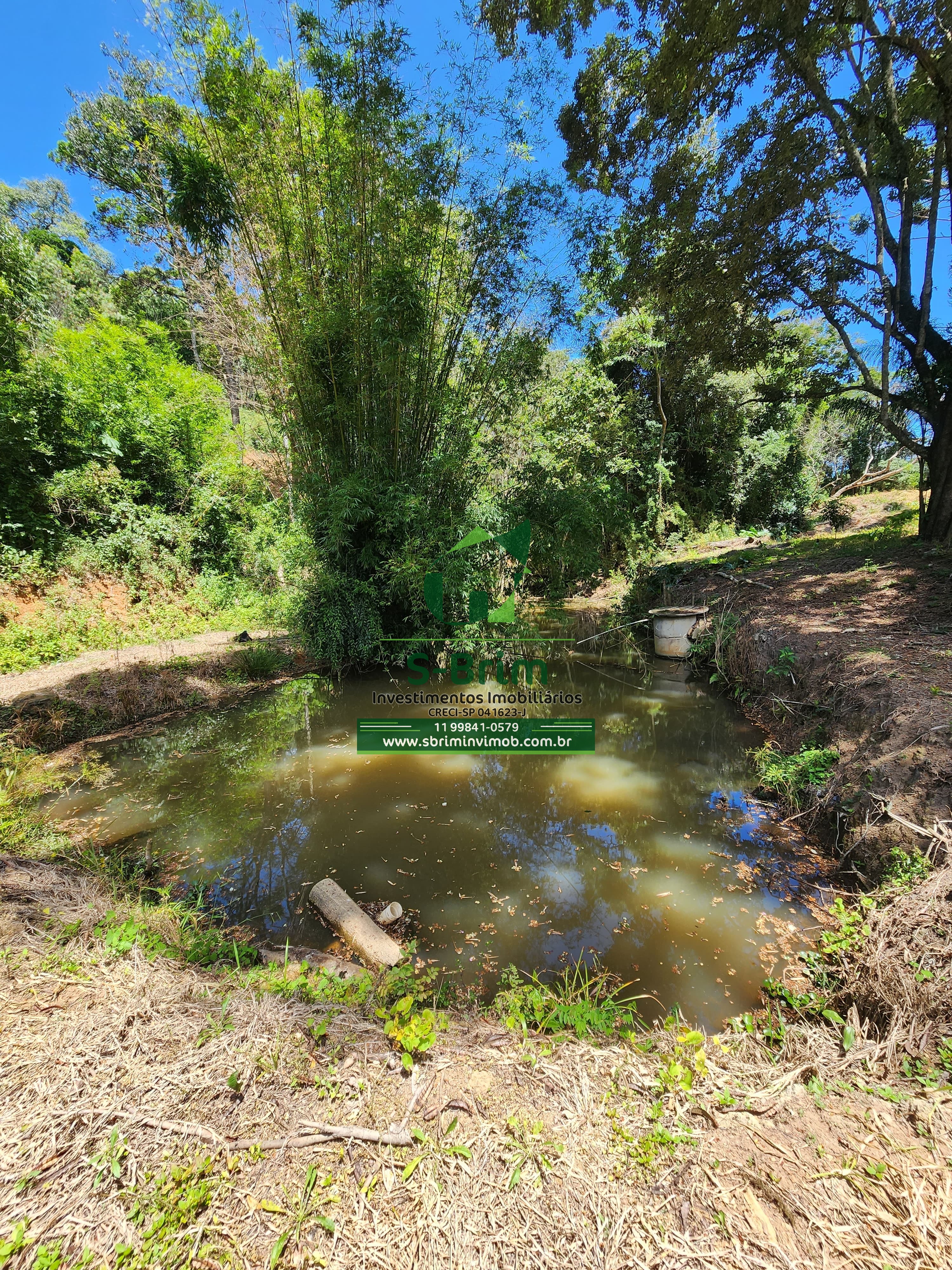 Fazenda à venda com 3 quartos, 36000m² - Foto 17