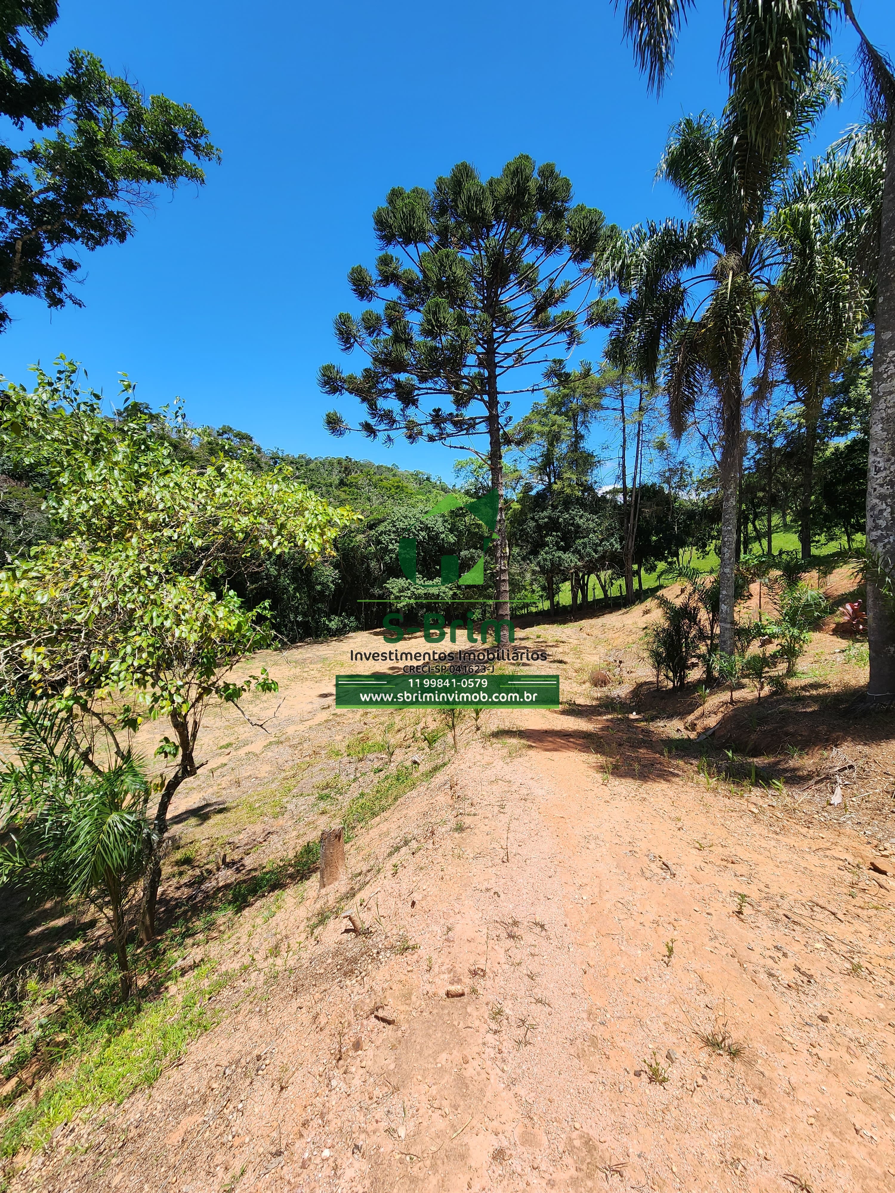 Fazenda à venda com 3 quartos, 36000m² - Foto 22