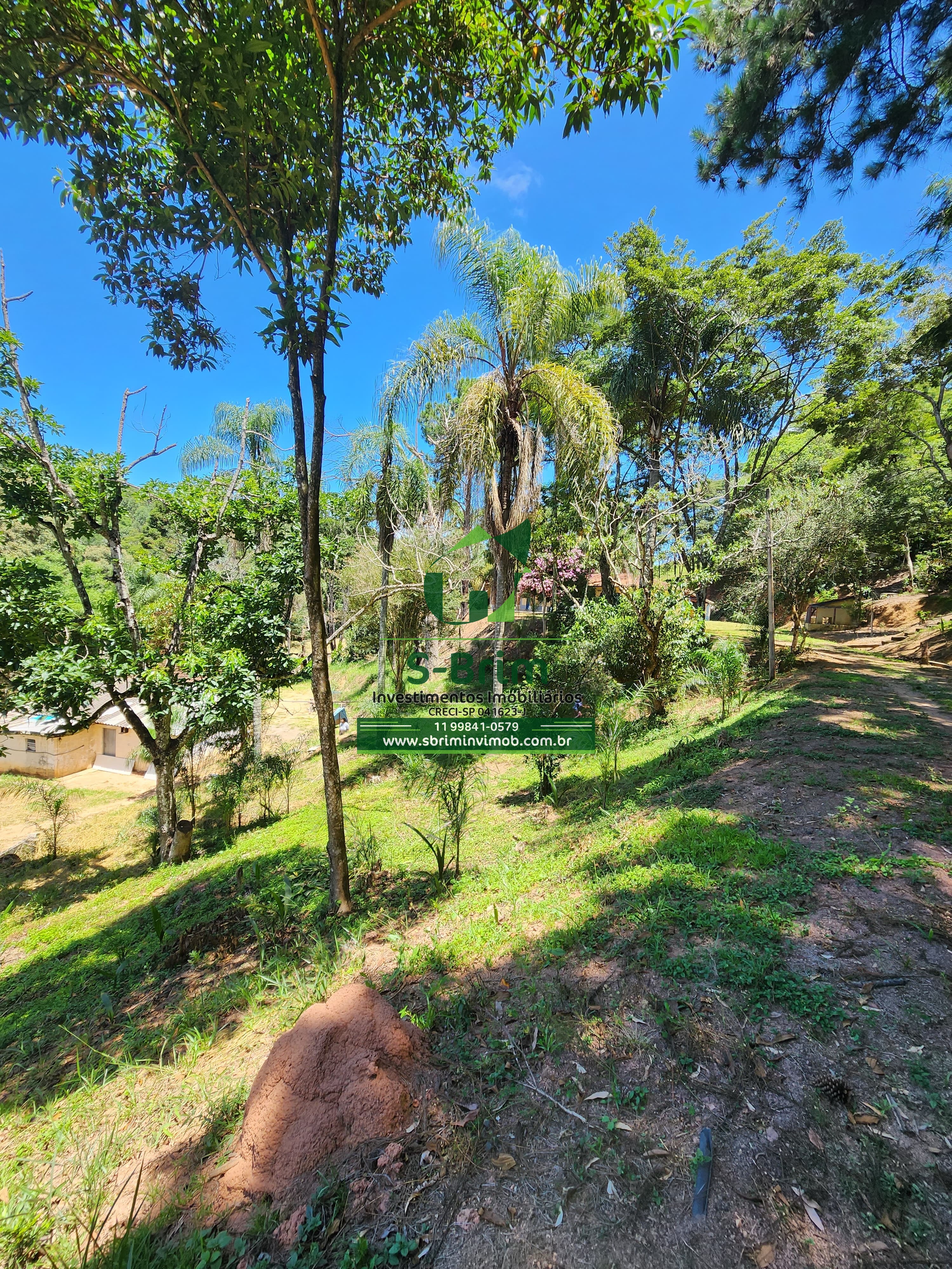 Fazenda à venda com 3 quartos, 36000m² - Foto 23