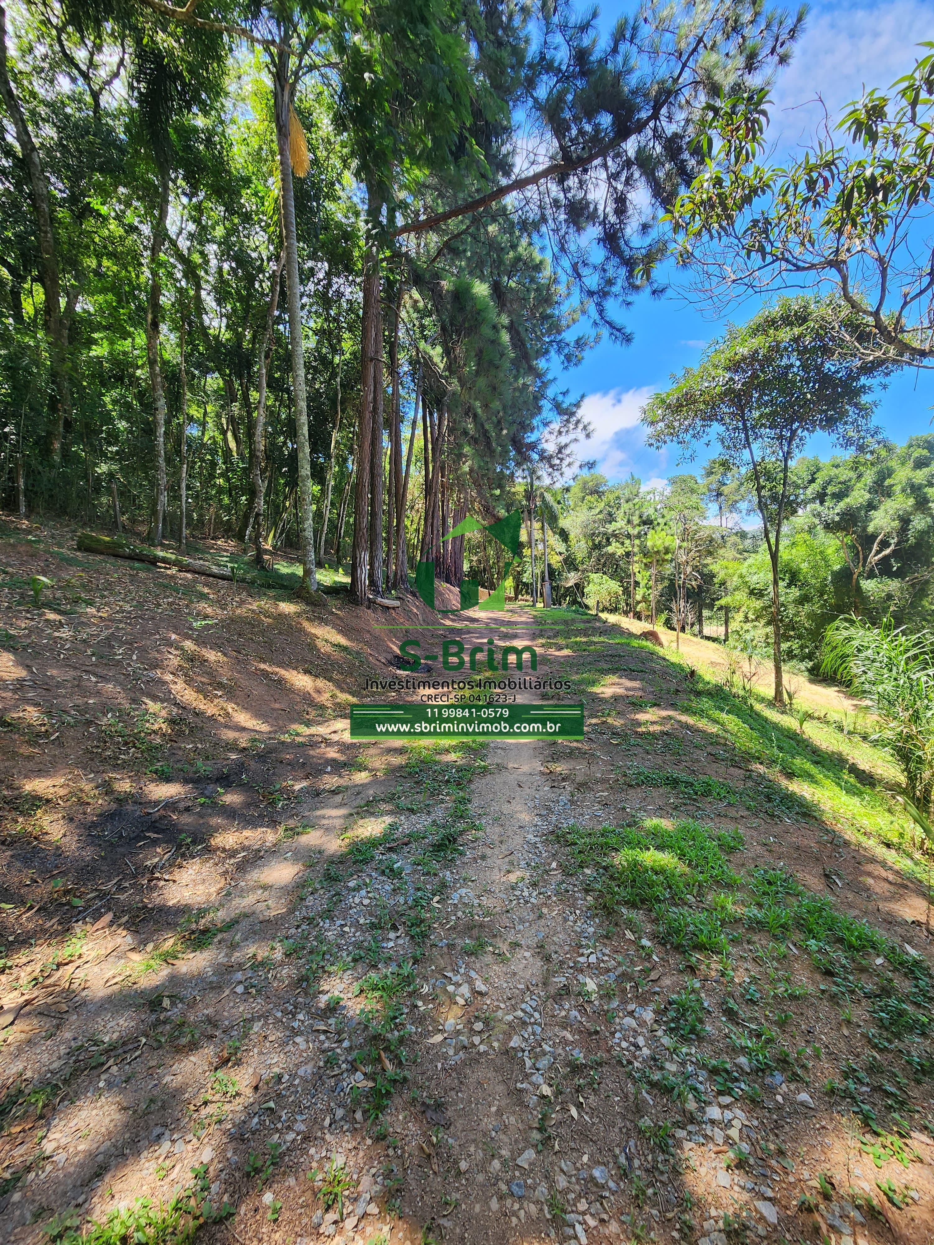 Fazenda à venda com 3 quartos, 36000m² - Foto 24