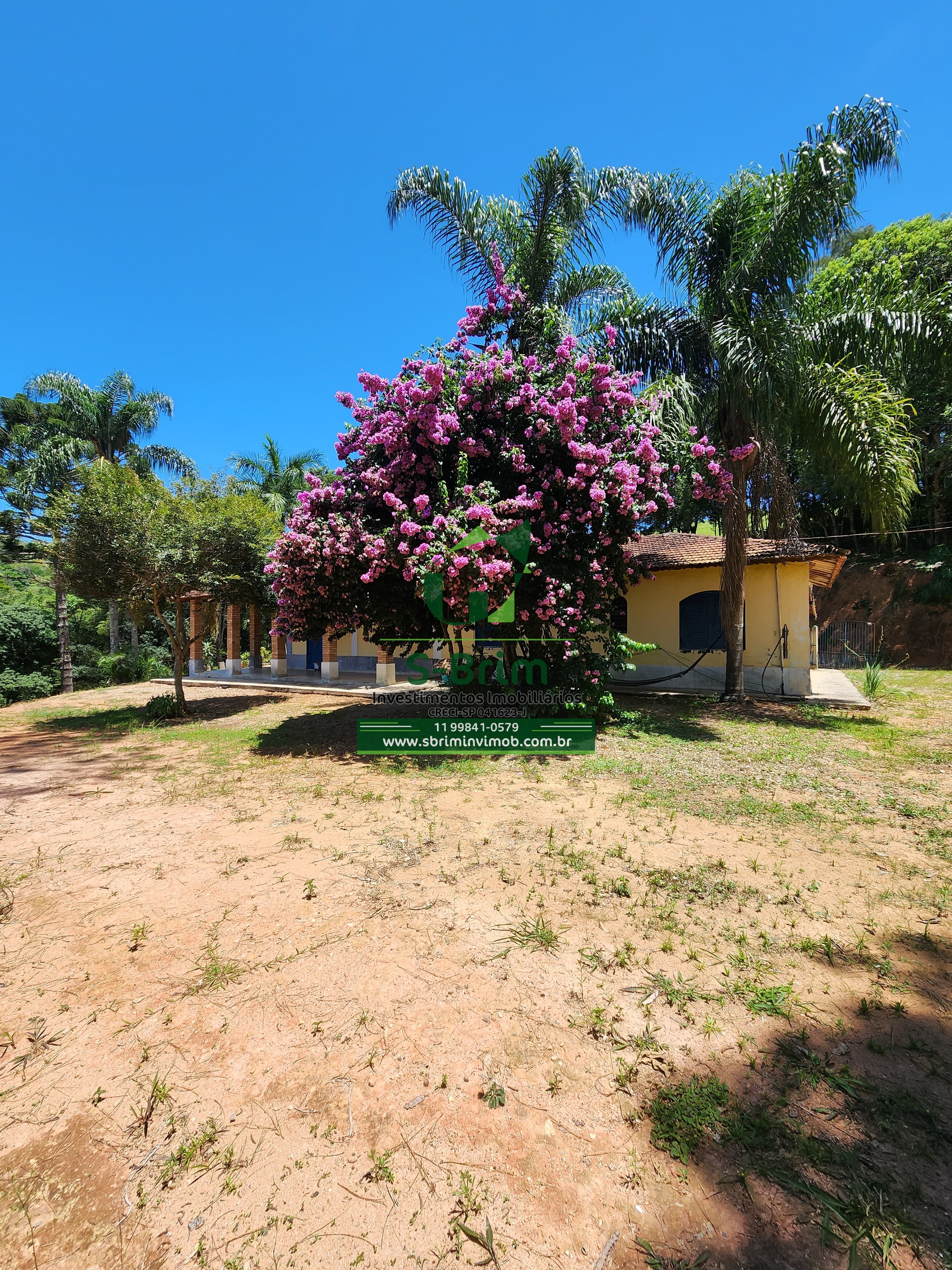 Fazenda à venda com 3 quartos, 36000m² - Foto 14