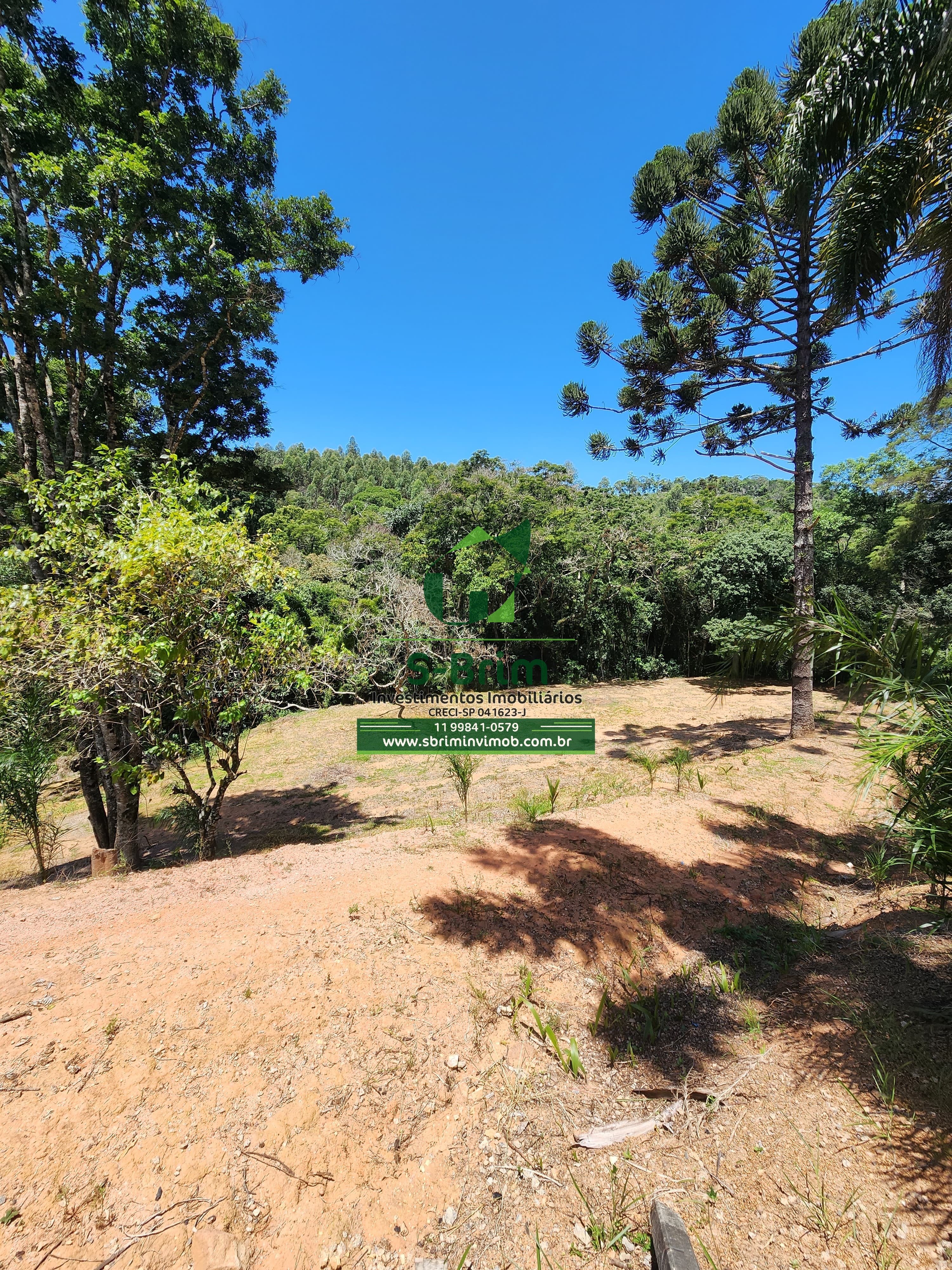 Fazenda à venda com 3 quartos, 36000m² - Foto 25