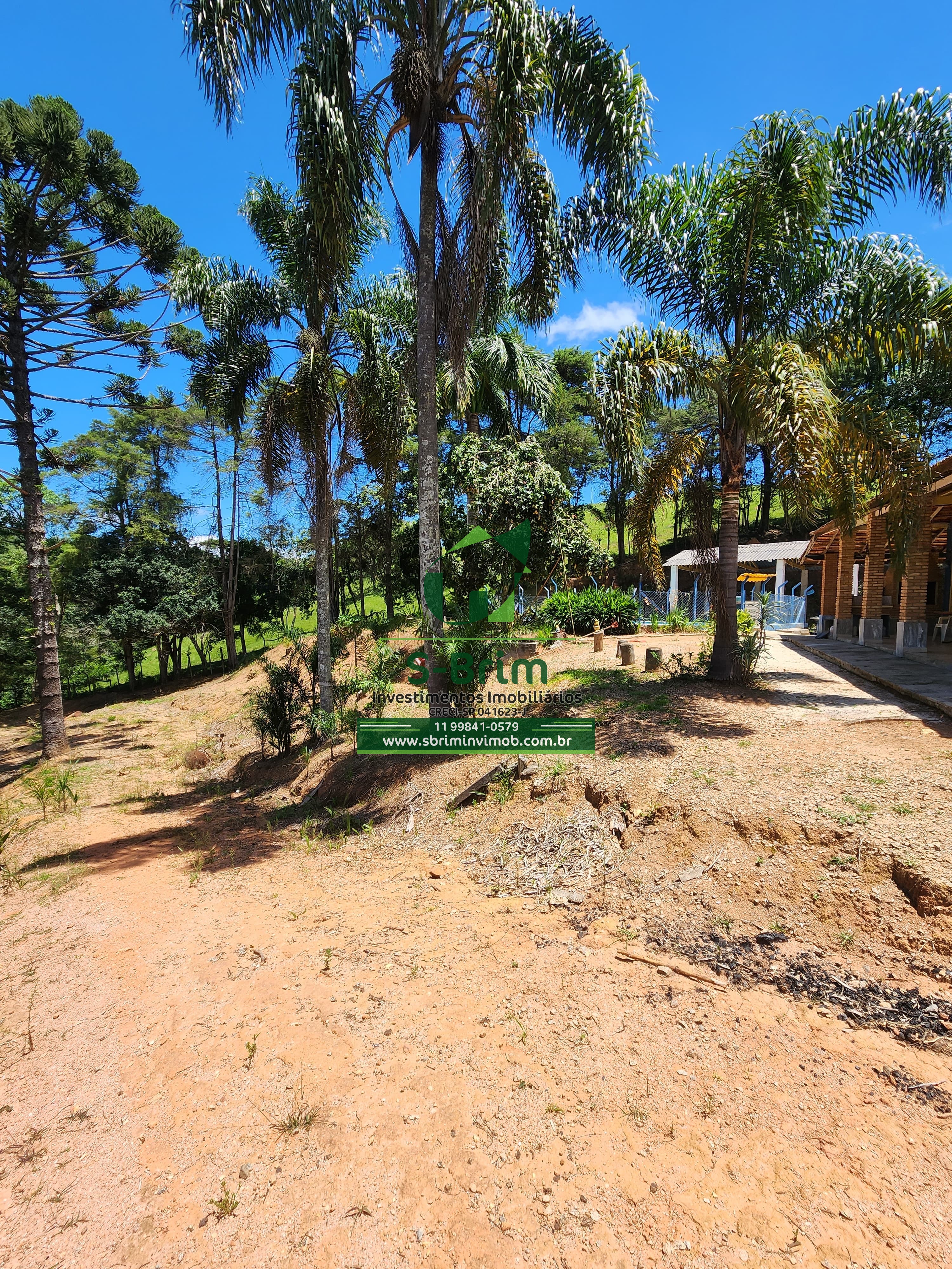 Fazenda à venda com 3 quartos, 36000m² - Foto 15