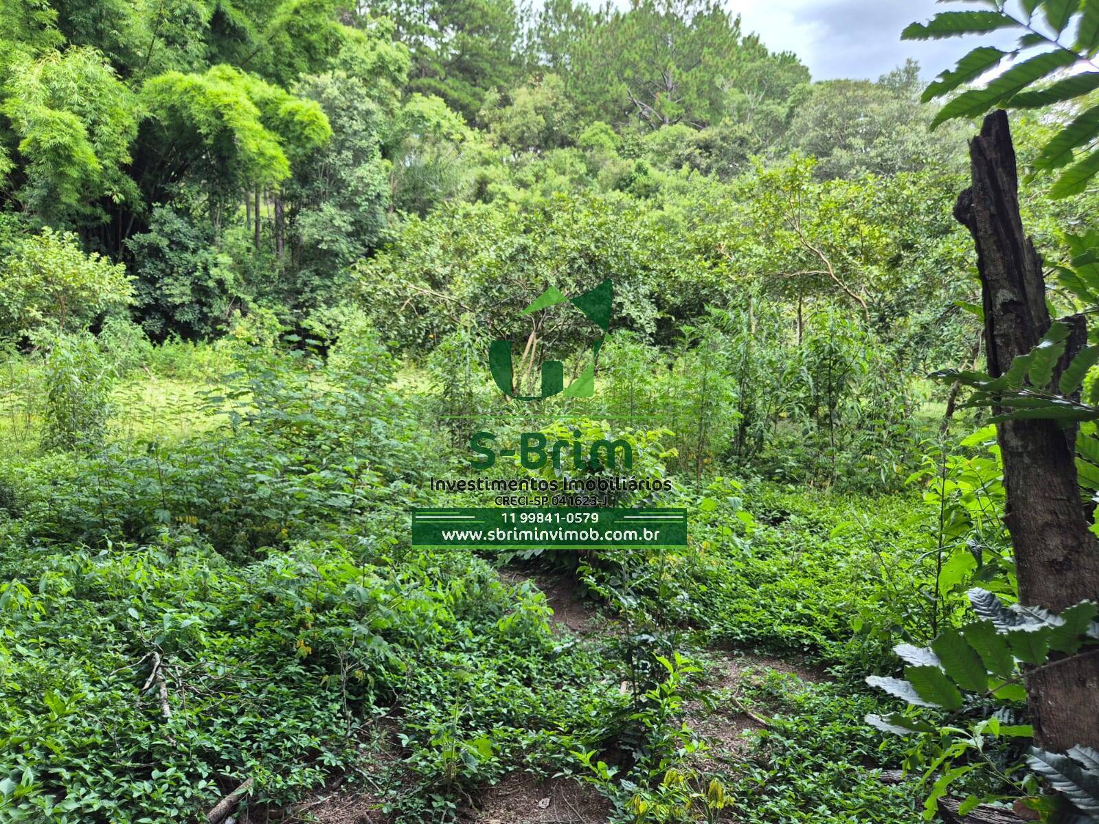 Fazenda à venda com 1 quarto, 1363m² - Foto 12