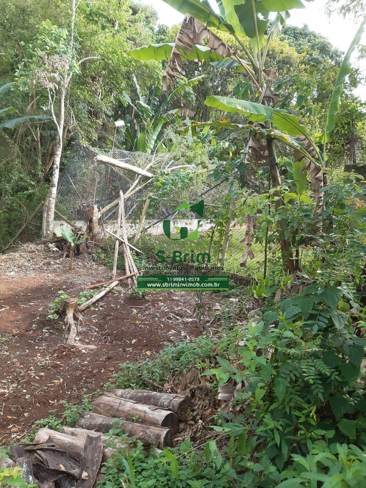 Fazenda à venda com 2 quartos, 2600m² - Foto 26