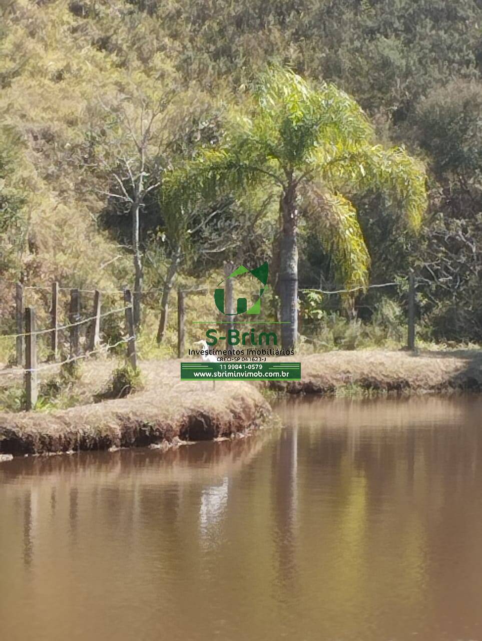 Fazenda à venda com 4 quartos, 26000m² - Foto 29