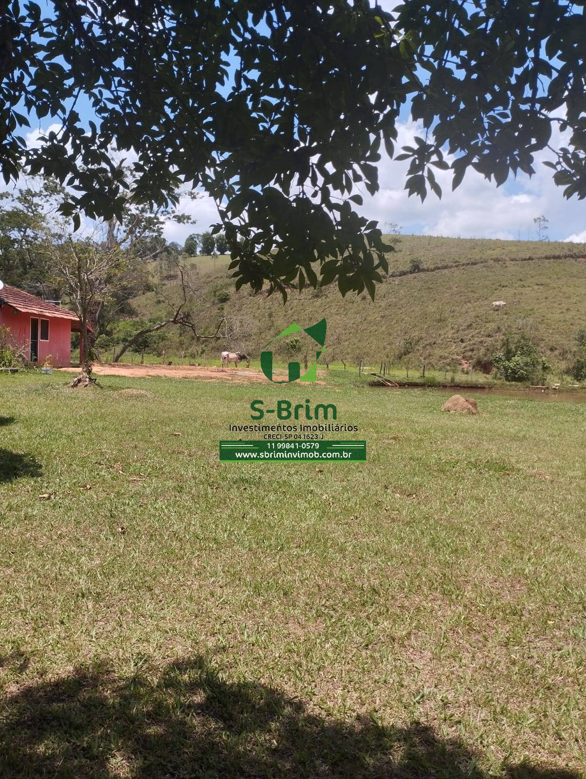 Fazenda à venda com 4 quartos, 26000m² - Foto 20