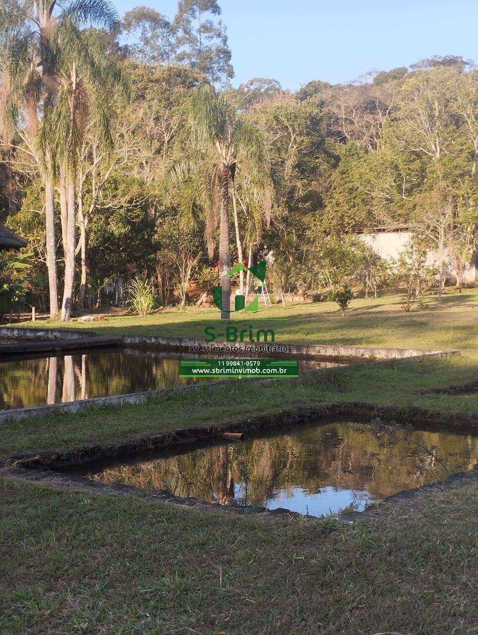 Fazenda à venda com 4 quartos, 26000m² - Foto 18