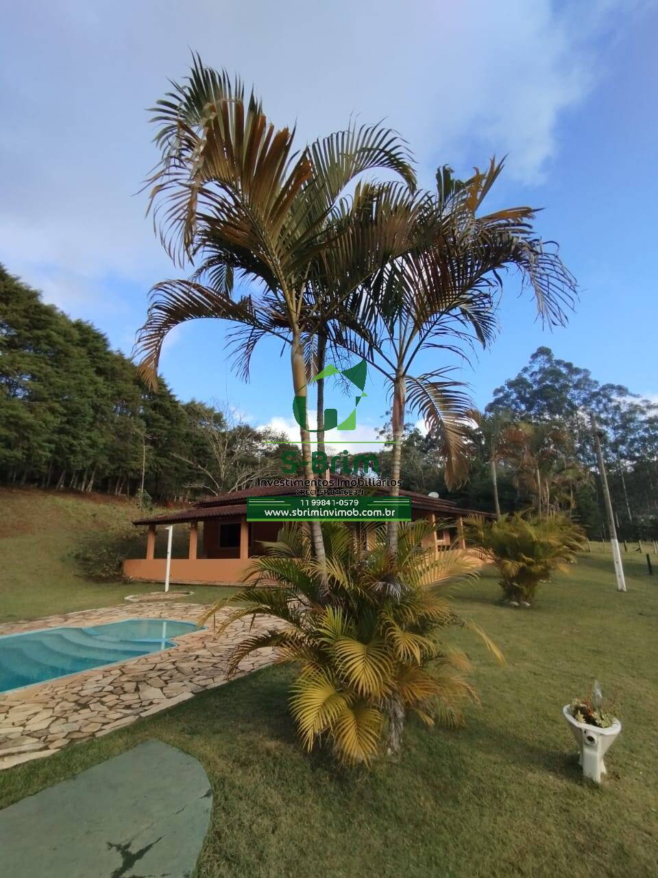 Fazenda à venda com 4 quartos, 26000m² - Foto 3