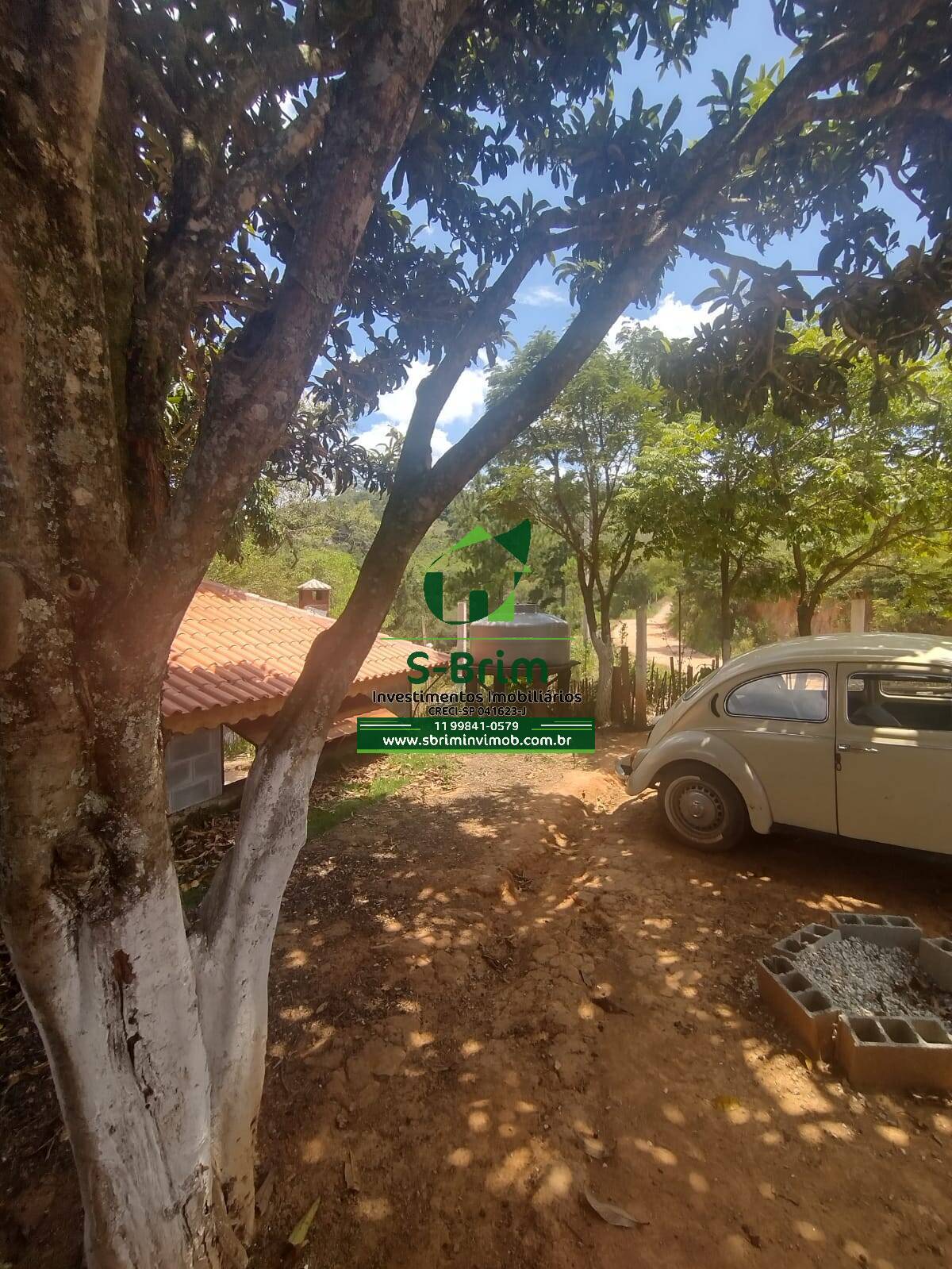 Fazenda à venda com 3 quartos, 300m² - Foto 37