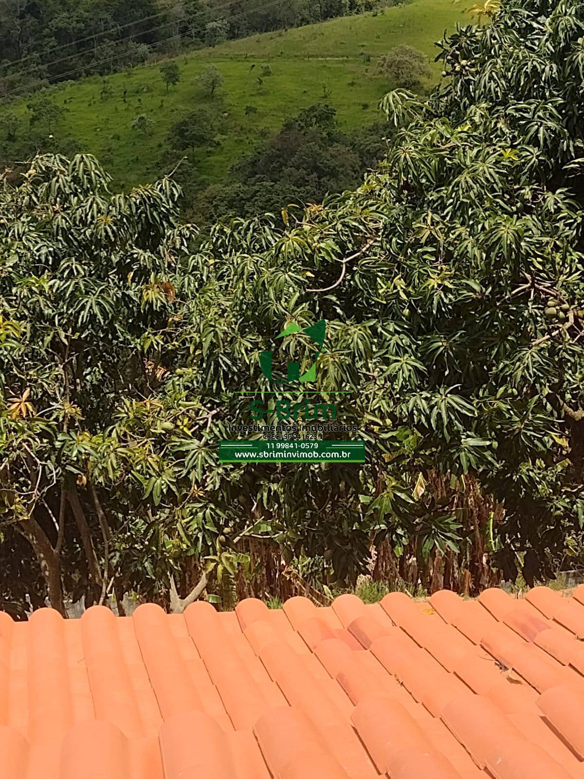 Fazenda à venda com 3 quartos, 300m² - Foto 50