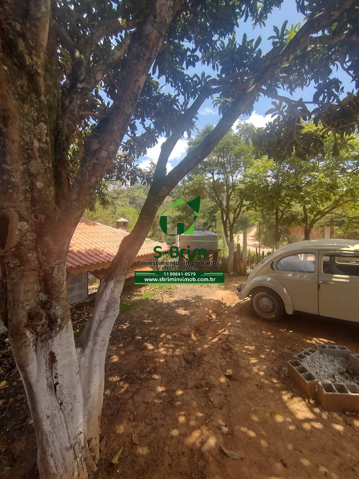 Fazenda à venda com 3 quartos, 300m² - Foto 52